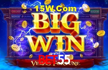 Experiência VIP Bet55